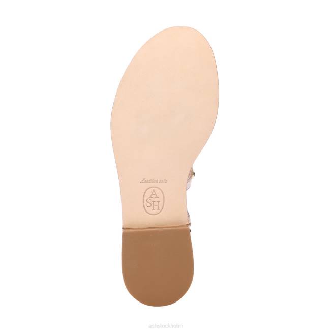 se ASH kvinnor paloma gladiator sandal ljust guld 8XTP81 sandaler