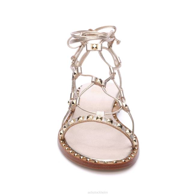 se ASH kvinnor paloma gladiator sandal ljust guld 8XTP81 sandaler