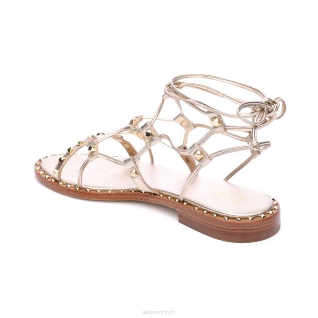 se ASH kvinnor paloma gladiator sandal ljust guld 8XTP81 sandaler