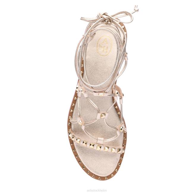 se ASH kvinnor paloma gladiator sandal ljust guld 8XTP81 sandaler