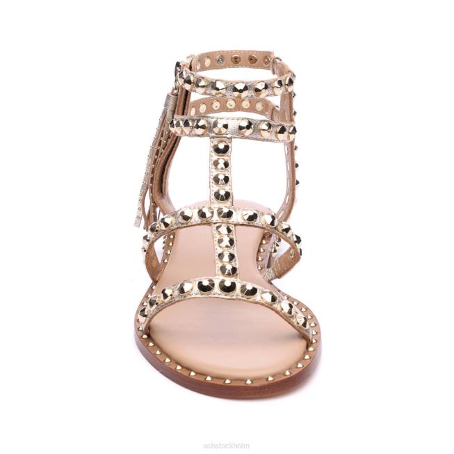 se ASH kvinnor power metallic dubbade tofs platt sandal ljust guld 8XTP53 sandaler