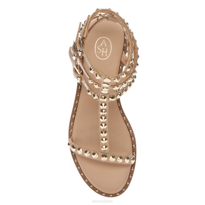 se ASH kvinnor spela platt sandal med dubb hud/guld 8XTP56 sandaler