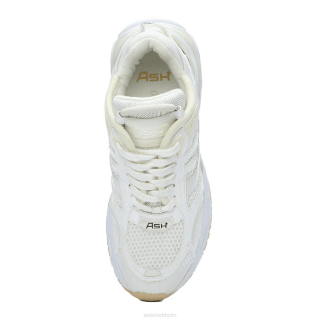 se ASH kvinnor race fashion sneaker off-white 8XTP27 sneakers